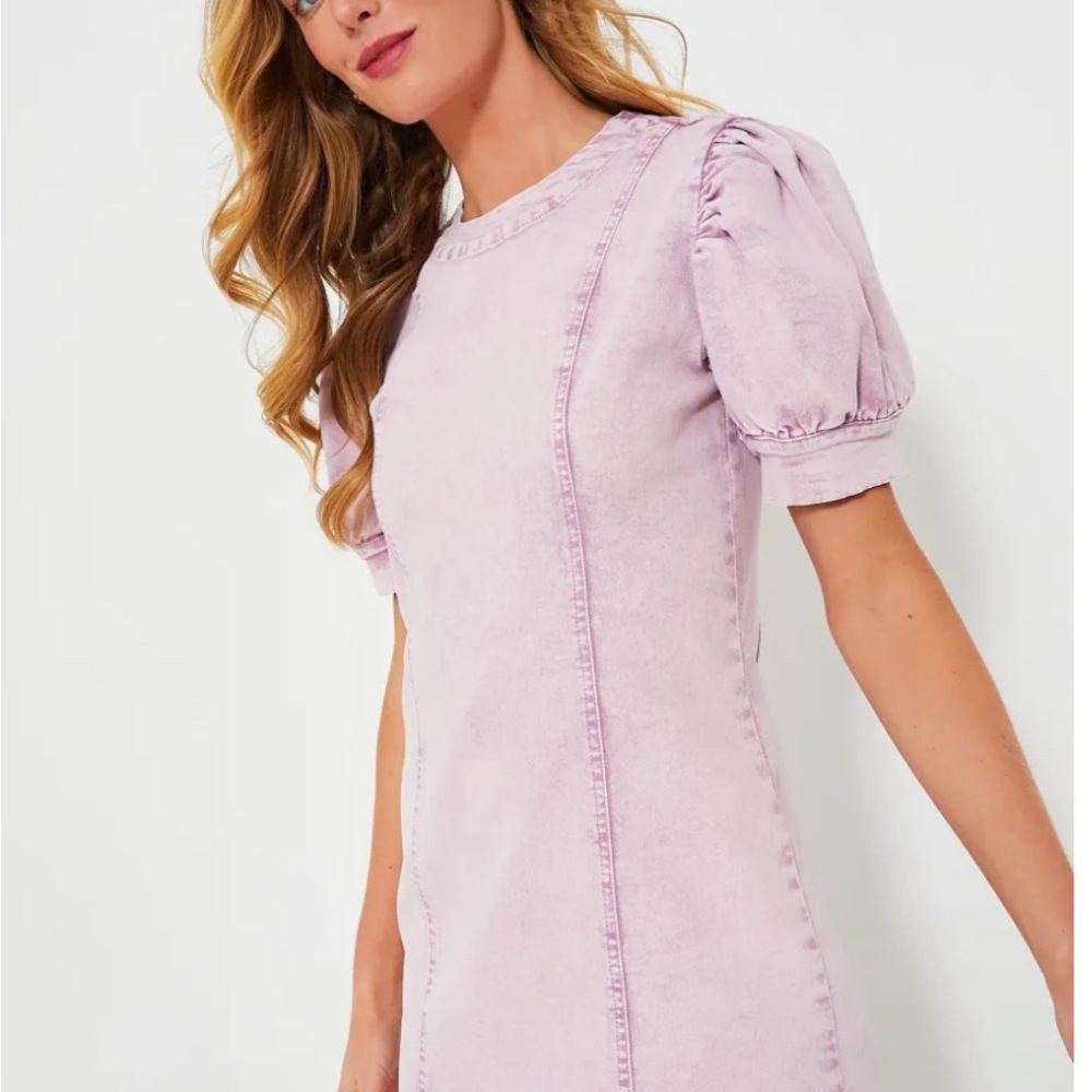 Tuckernuck Light Purple Puff Sleeve Mini Dress